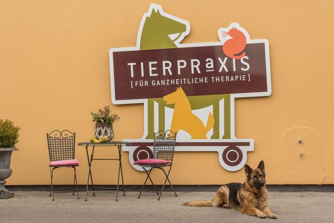tierpraxis-impressionen-03